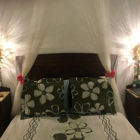 Casal Dos Carpinteiros - Carpenters Couple