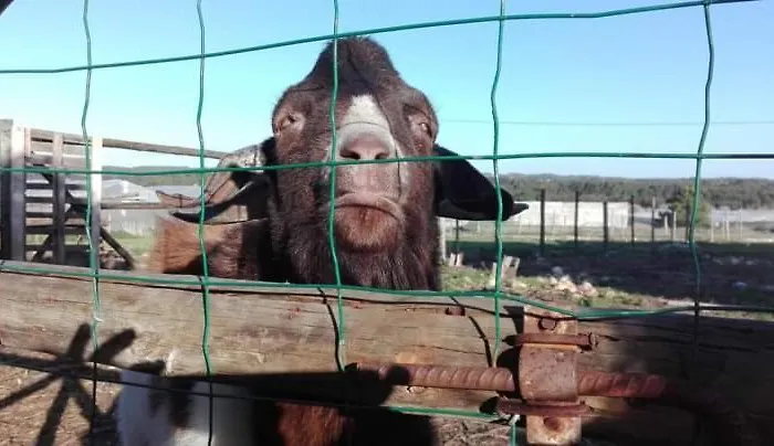 Casal Dos Carpinteiros - Carpenters Couple Nyaraló