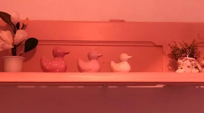 Casal Dos Carpinteiros - Carpenters Couple Santa Cruz